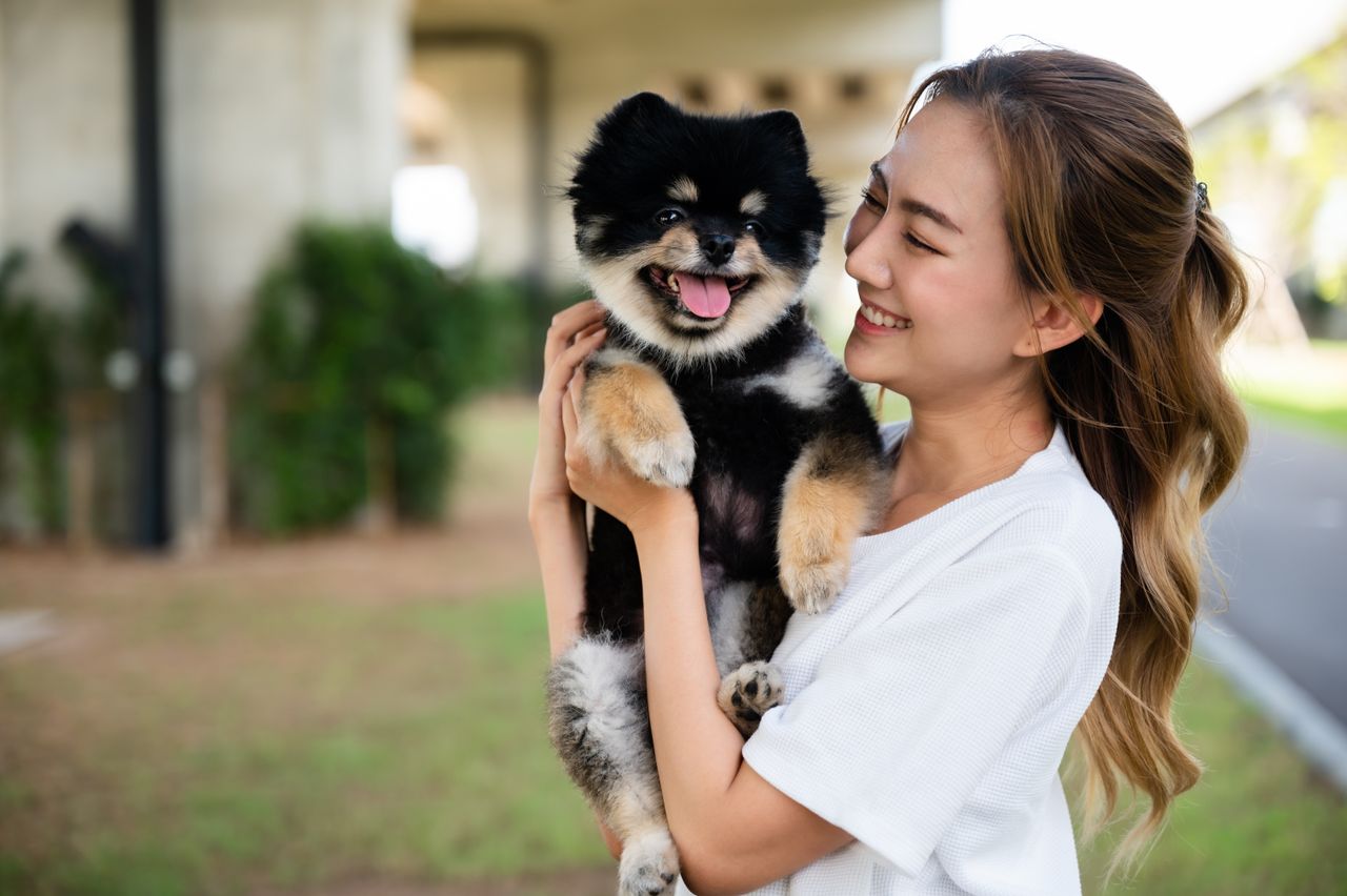 happy dog with woman