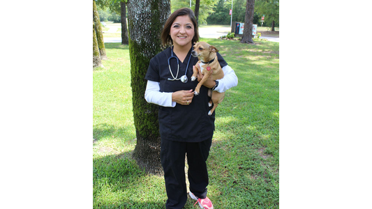 Kings Crossing Dr. Stephanie Johnson – Medical Director