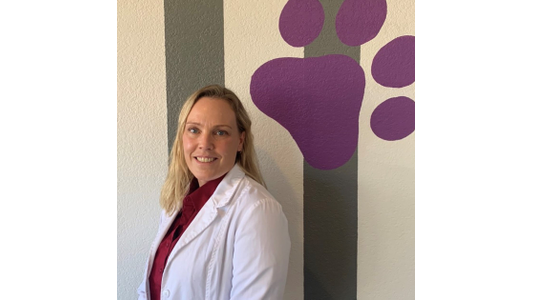 Dr. Paar from the Purple Paws Veterinarian 