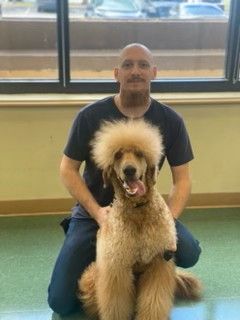 Michael dog trainer at Pawprints Vero Beach