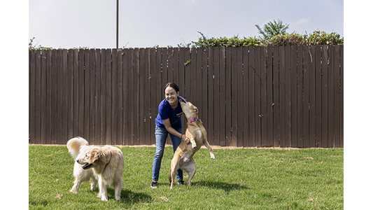 Staff with happy dogs at BrownDog Lodge