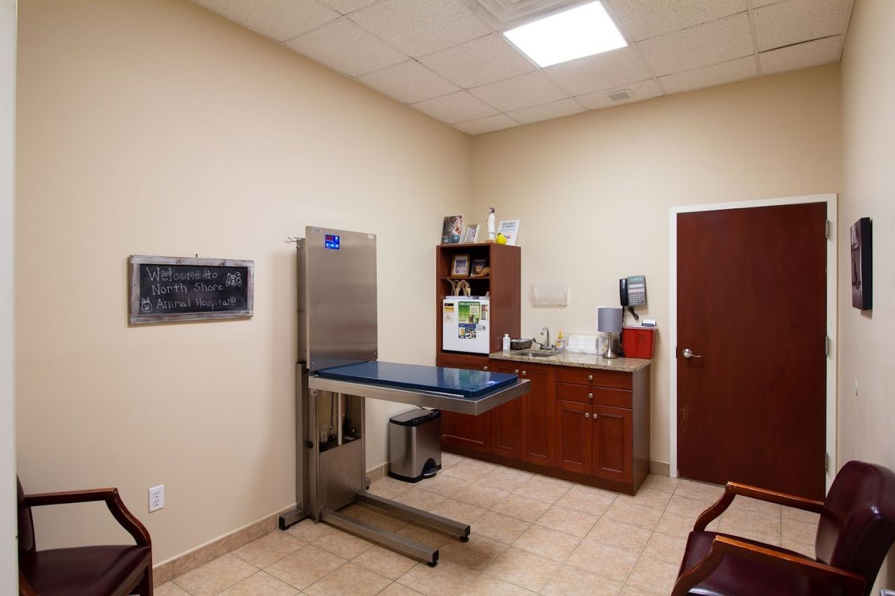 North Shore Animal Clinic Examination room