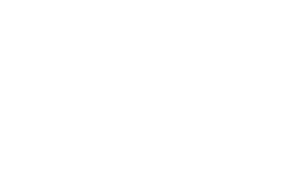 Stone Oak Veterinary Clinic Logo