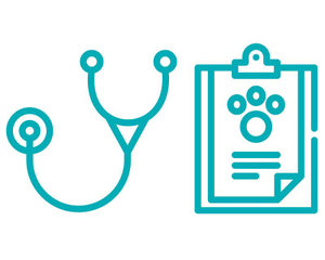 Stethoscope
