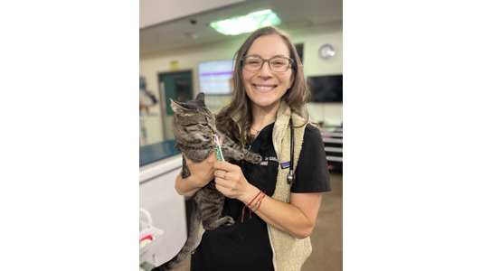 Church Ranch Dr. Gillian Penn - Veterinarian