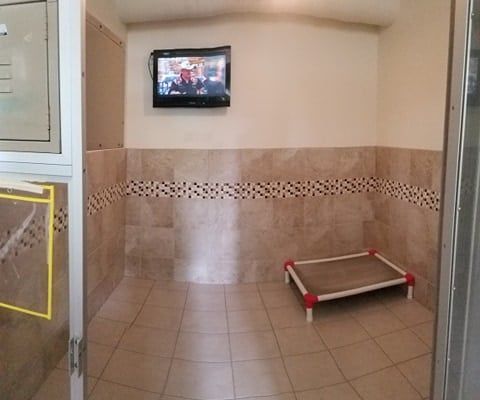 Board suite with tiled walls, a dog bed on the floor, and a wall-mounted TV displaying a show.