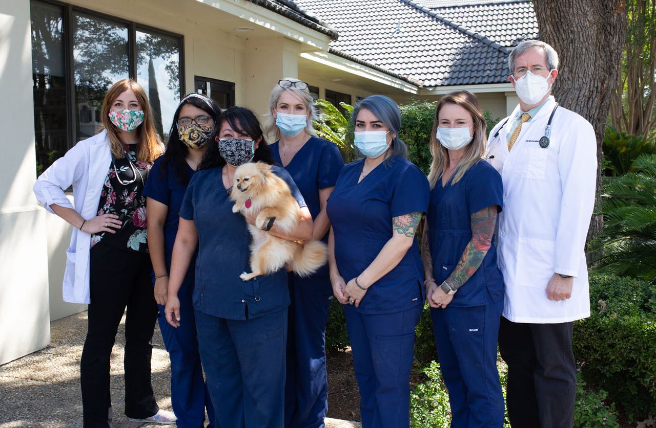 Dog with Stone Oak staff