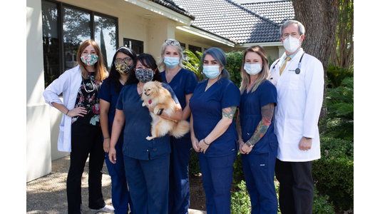 Stone Oak Veterinary Staff