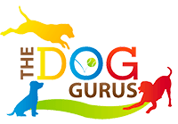 Colorful logo with silhouettes of dogs in yellow, blue, and red around the text "The Dog Gurus," with a green curved path beneath.