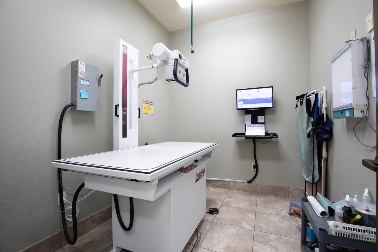 A veterinary radiology room with an X-ray machine, computer, protective apron, and medical equipment against a light-colored wall.