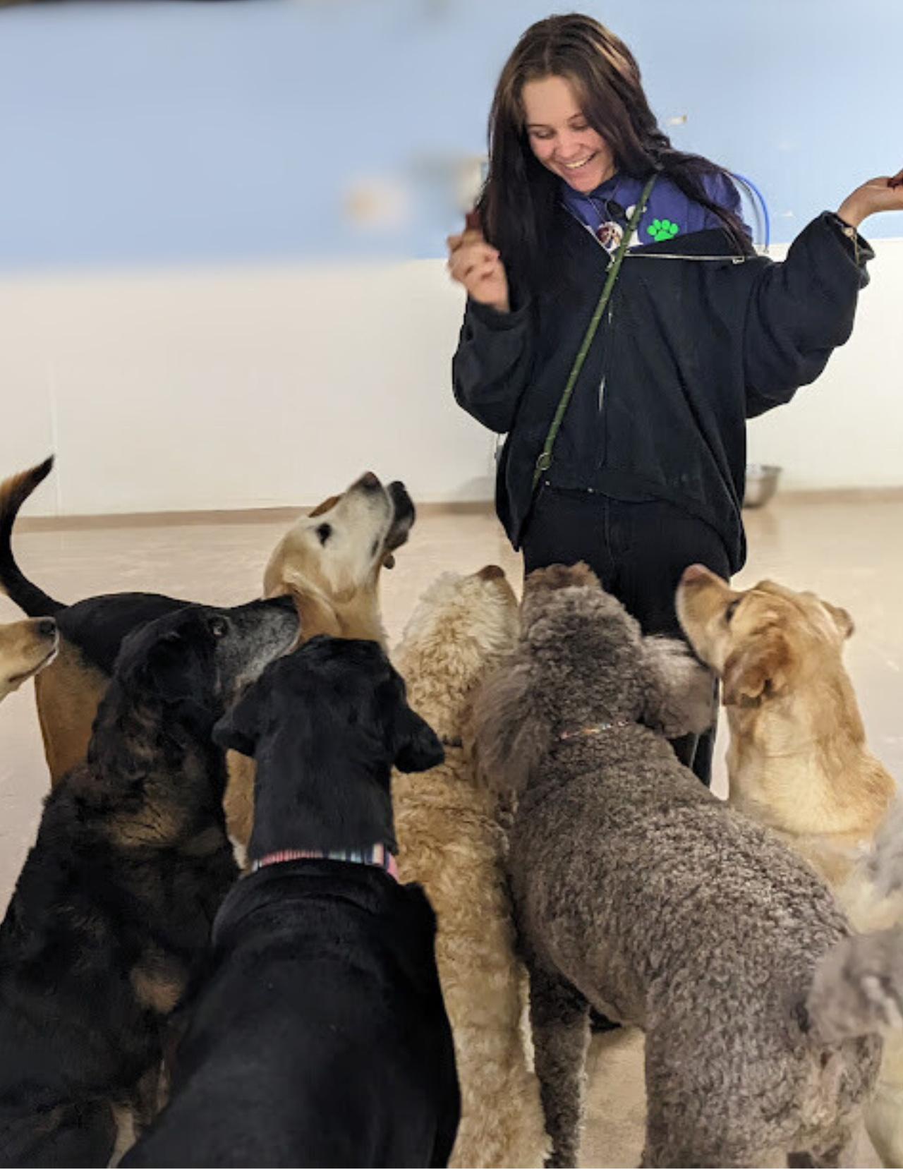 Smiling dog daycare attendant surrounded by an attentive group of dogs waiting for treats indoors
