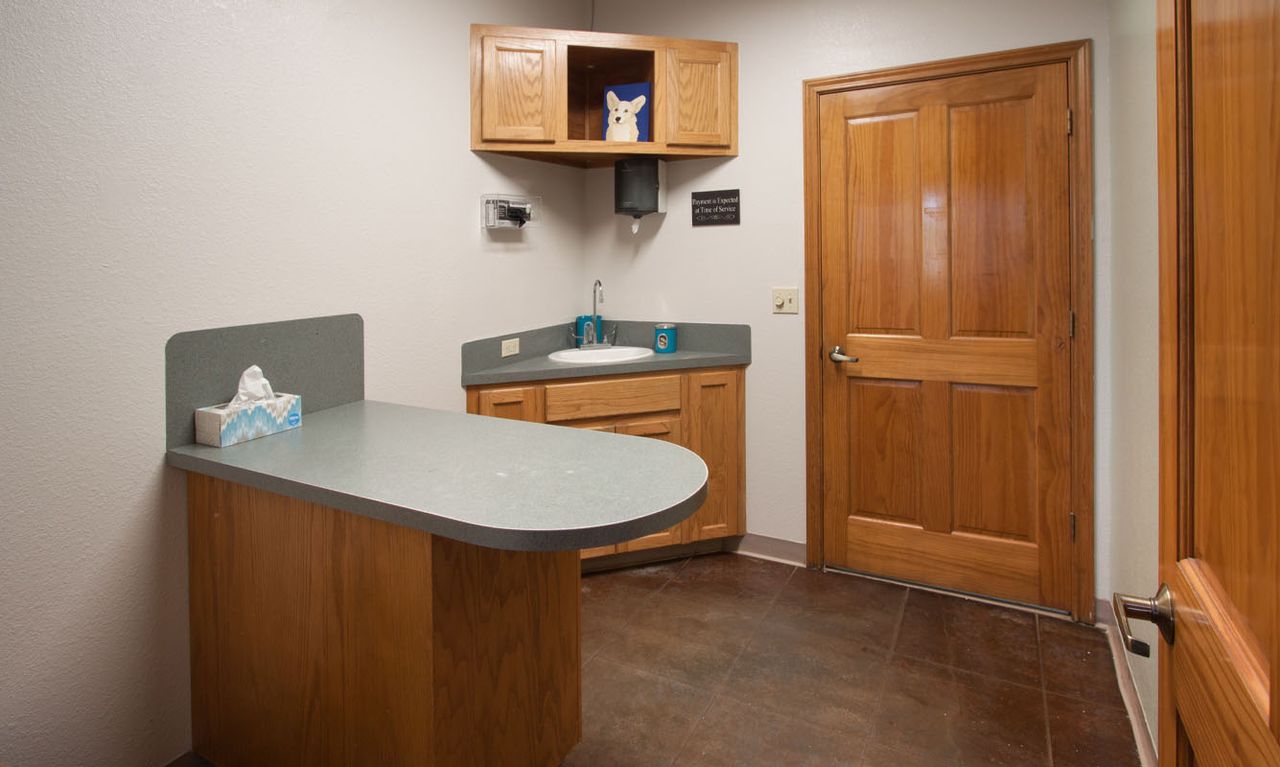 A small room with a counter, sink, cabinets, and a wooden door. A box of tissues and a blue figurine are on the counter and shelf.