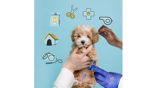 A fluffy puppy in a vet's hands is being examined, surrounded by pet care icons like scissors, a whistle, and a doghouse on a blue background.
