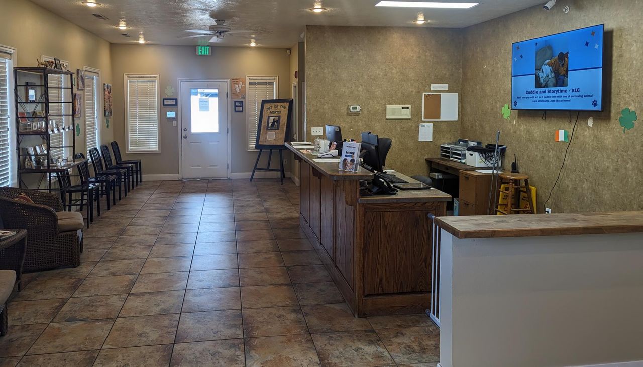 Animal Tender waiting room with tiled floor, brown reception desk, chairs lining the wall, and a TV displaying information on the right.