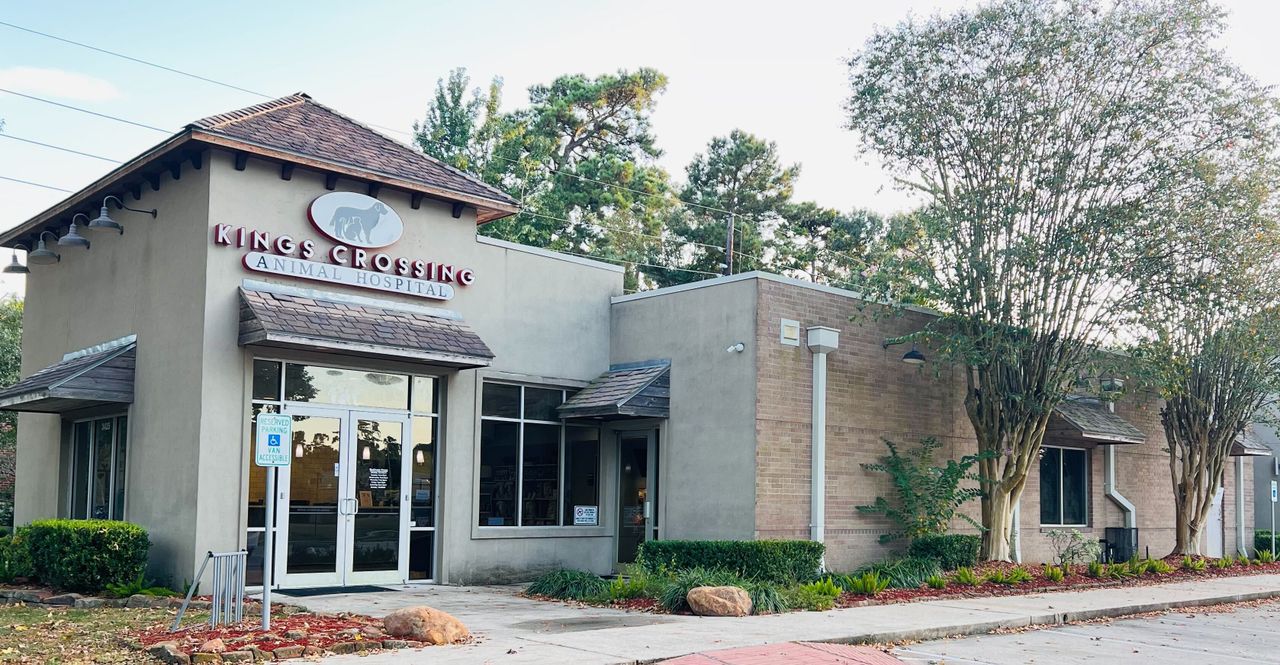 Single-story building with "Kings Crossing Animal Hospital" sign, surrounded by trees and landscaping.