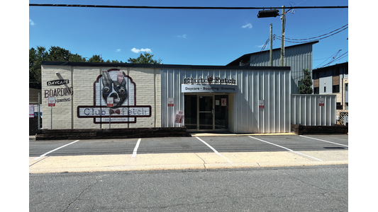 Exterior view of "Club Fetch" dog daycare with a mural of a Boston Terrier on a brick wall, adjacent to a parking lot.