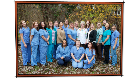 All Friends Animal Hospital Team members