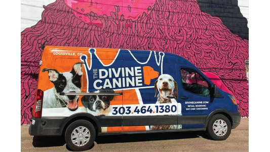 Colorful van with "The Divine Canine" branding, featuring images of dogs, phone number, and services listed. Bright pink and black mural background.