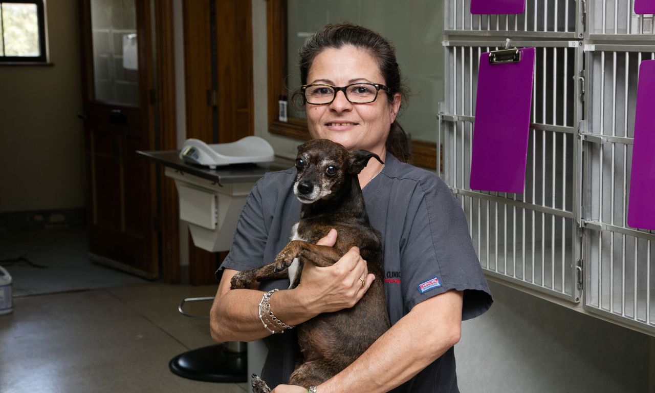 A woman in scrubs smiles while holding a small black and brown dog in a veterinary clinic.