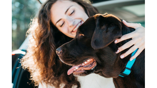 A smiling woman with curly hair affectionately embraces a chocolate Labrador wearing a blue collar.