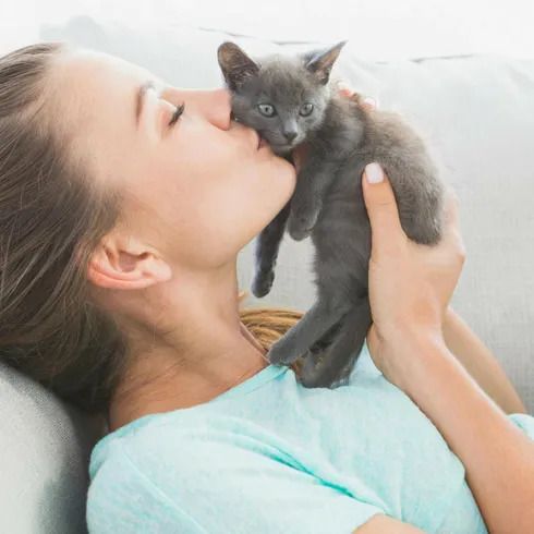 A woman lovingly kisses a small gray kitten she is holding; both are on a couch, with the kitten looking curiously at the camera.