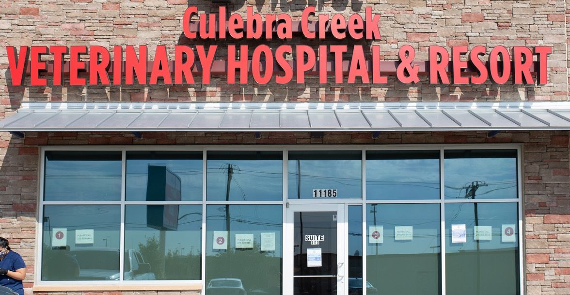 Front view of Culebra Creek Veterinary Hospital & Resort, featuring large red signage above glass windows and doors set in a stone facade.