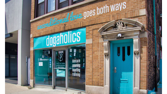Dogaholics entrance in a brick building and turquoise dogs and signage.