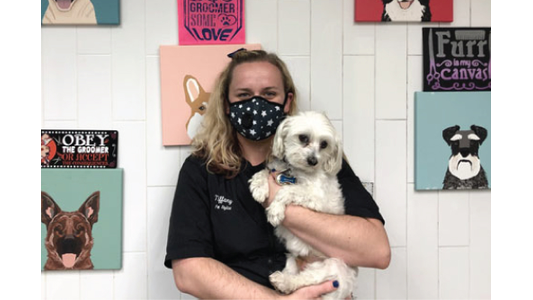 Divine Canine Groomer Tiffiany