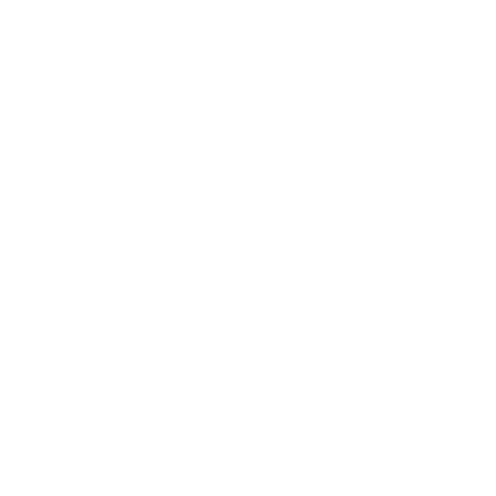 American Pet Spa Logo