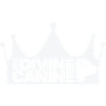 The Divine Canine