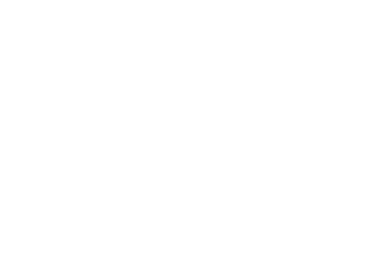 Church Ranch Veterinary Center Logo
