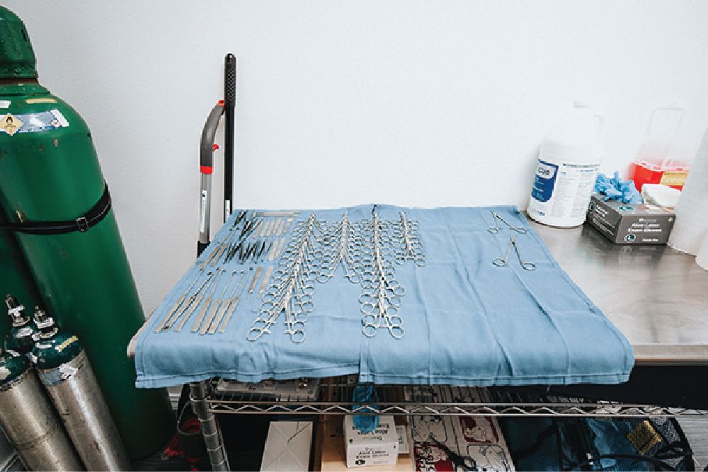 A blue cloth covers a table with neatly arranged surgical instruments, including scissors and forceps, beside gas canisters and cleaning supplies.
