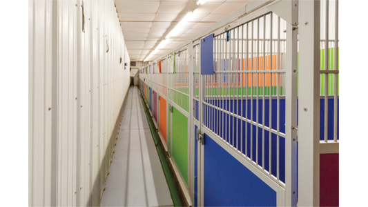 Ashcroft Pet Resort colorful-boarding-kennels