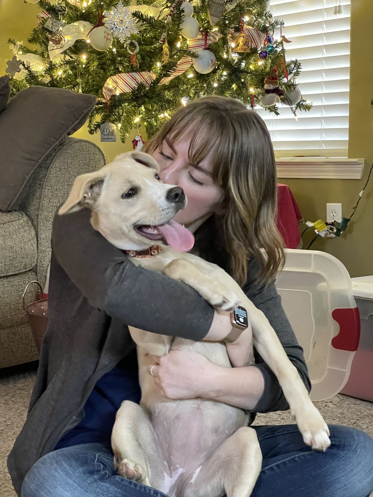 Groomer Cassidy Robbins hugs a happy dog in front of a decorated Christmas tree.