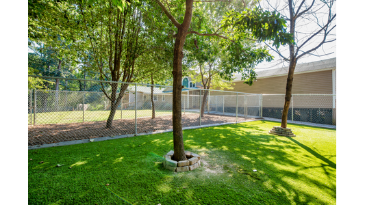 Wescott Acres fenced backyard with lush green grass, surrounded by trees and adjacent to a building, under a clear, sunny sky.
