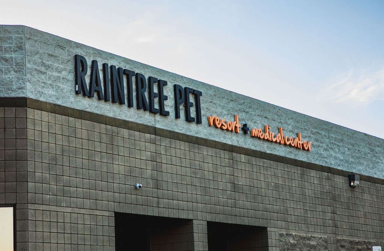 Exterior of a building with a sign reading "RAINTREE PET resort + medical center" against a blue sky background.