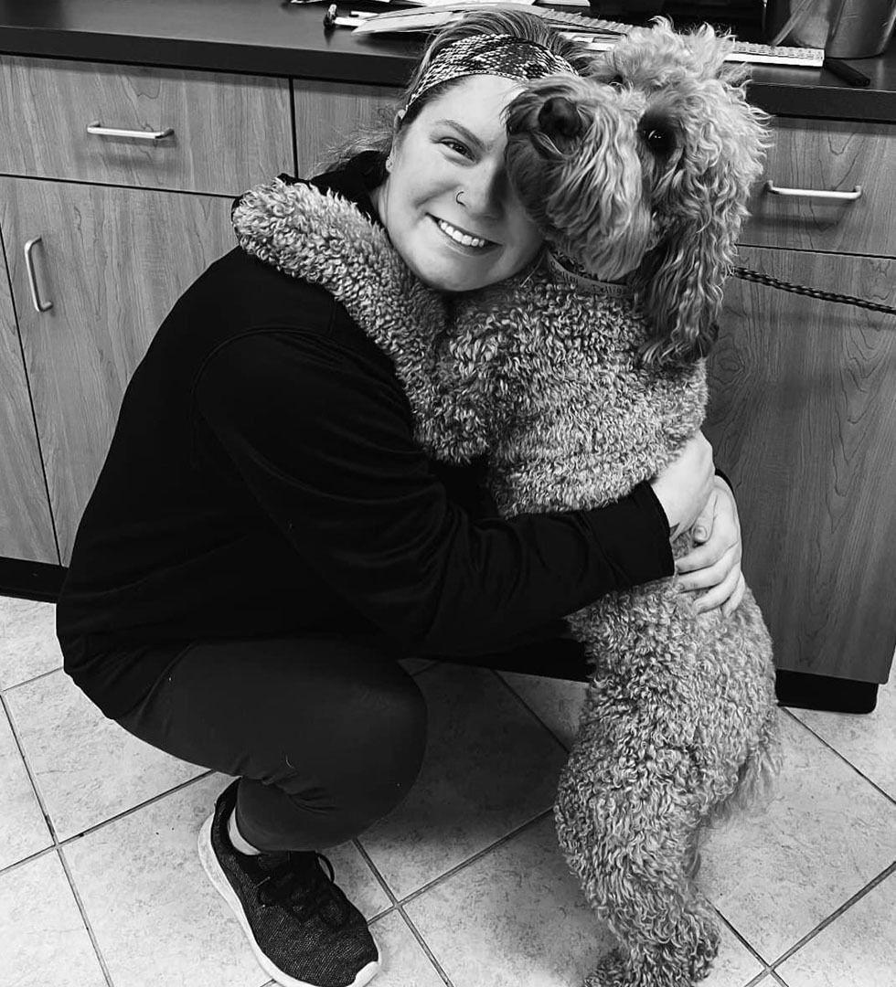 Best Friends Bed and Biscuit Groomer Sydney
