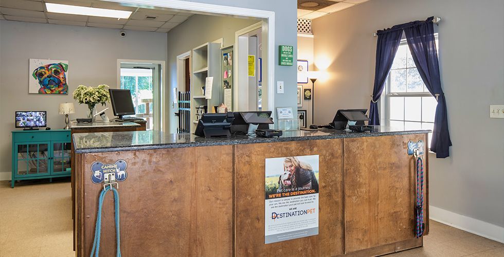 Westcott Acres reception desk in a pet clinic with computer monitors, a wall poster, a painting of a dog, and a window with a navy-blue curtain in the background.