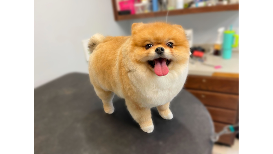 Uberdog front desk and reception area