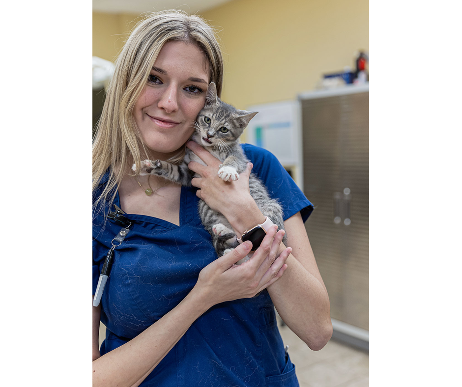 Vet staff holding a cat