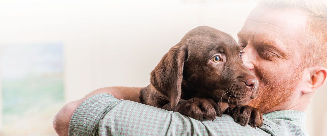 A male staff member hugging a brown puppy.