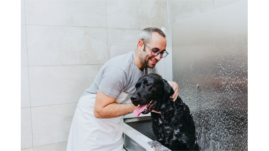 A man with glasses and a gray shirt smiles while washing a wet black dog in a pet groomer's sink.