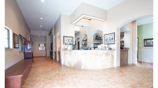 Atascocita Animal Hospital reception desk, tiled floor, and decorative paintings on the walls, featuring large windows and bright lighting.