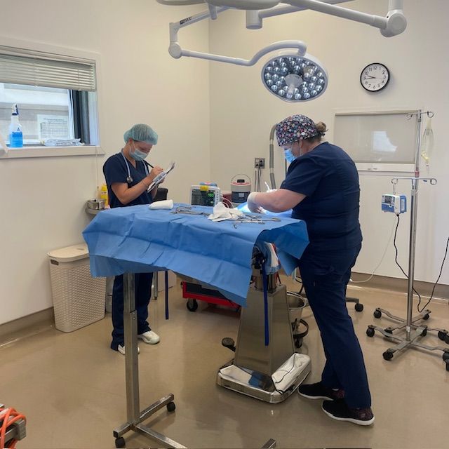 Two medical professionals in scrubs work in a well-equipped, sterile room with surgical instruments on a table, under a large overhead light.