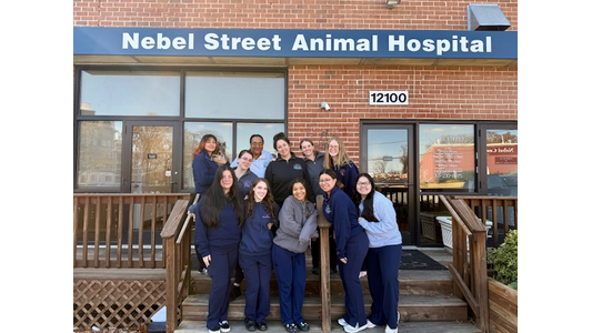 Nebel St. Animal Hospital Team members