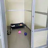 Quiet Suite with a raised bed, toys, and dog bowls on the floor.