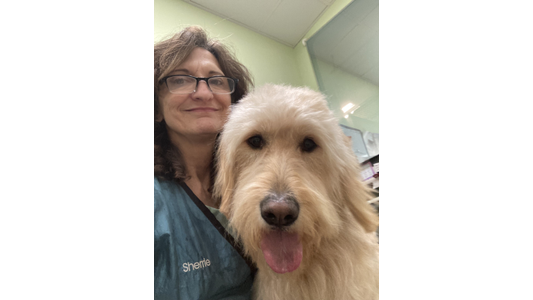 Sherrie  Ruff Housing Witt Street Groomer wearing glasses and a teal smock—posing closely with a large, fluffy, light golden doodle mixmanda Schmidt