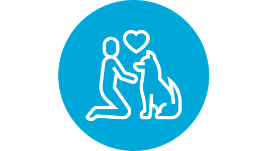 Icon of a person kneeling beside a dog with a heart above, symbolizing affection or companionship, on a blue circle background.