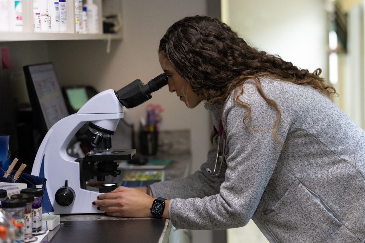 A female vet tech examines a sample through a microscope in a lab setting, surrounded by laboratory equipment and shelves.