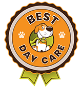 Best Day Care Award for Pets